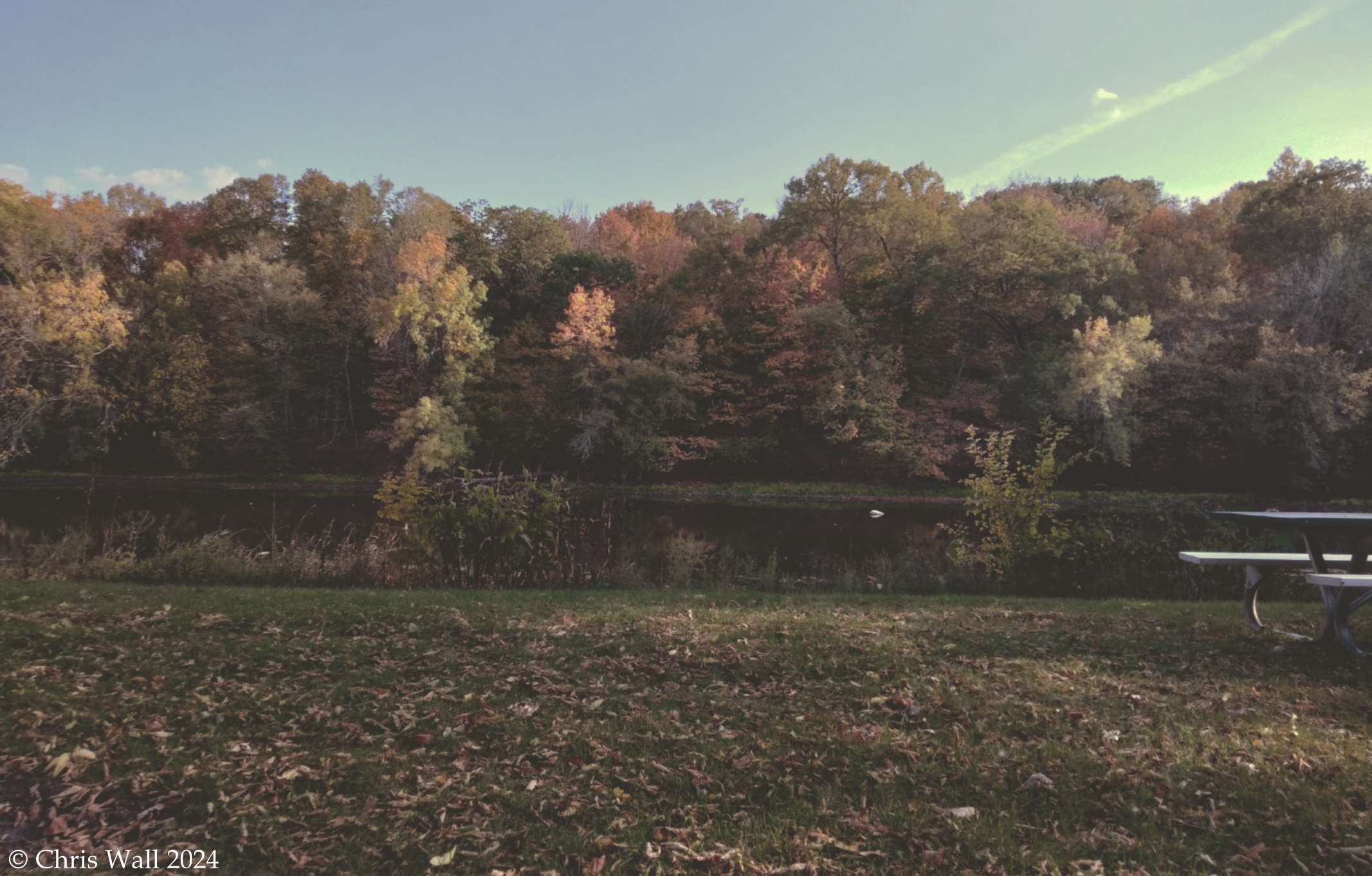 Leaves changing color along the river in fall